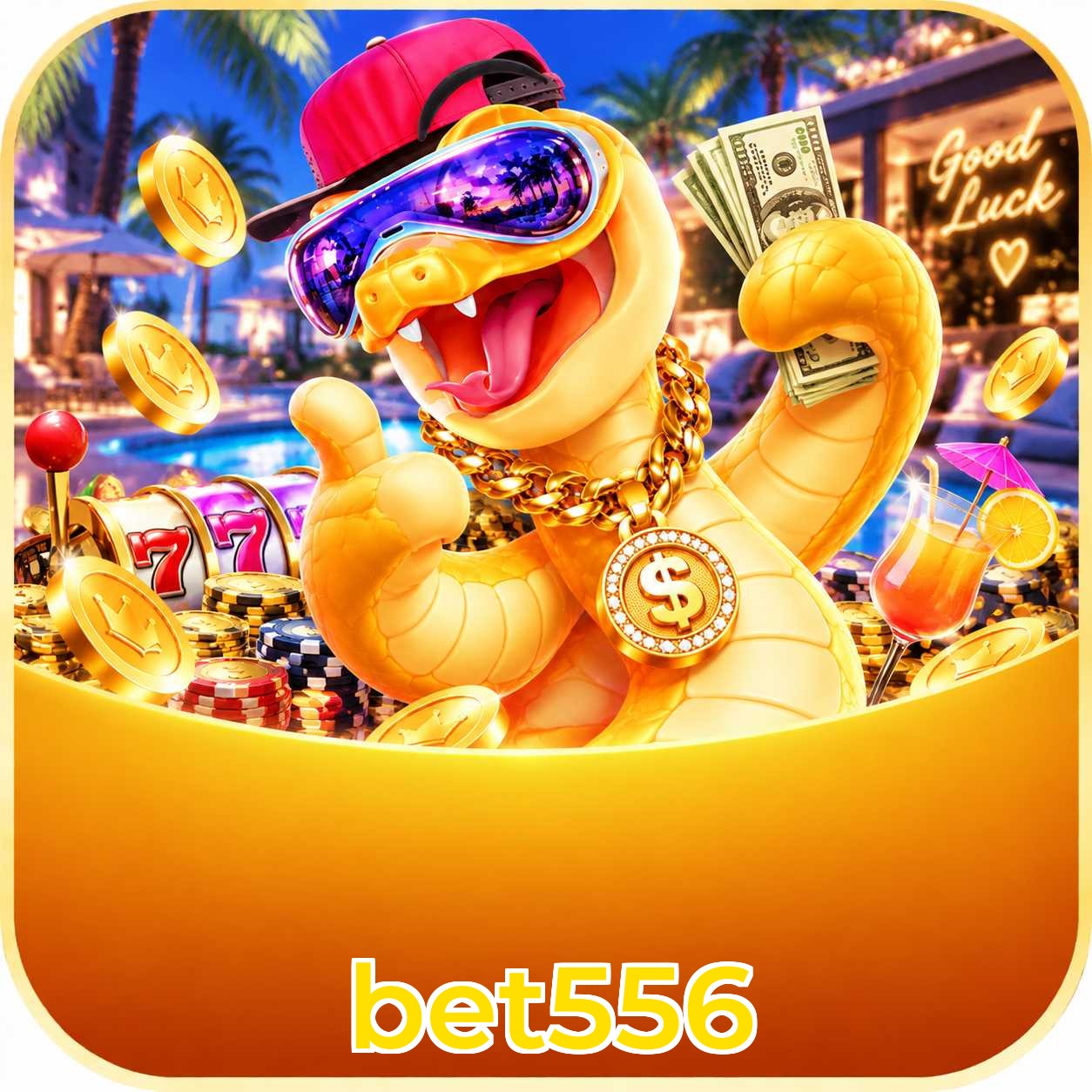 bet556 VIP FAQ